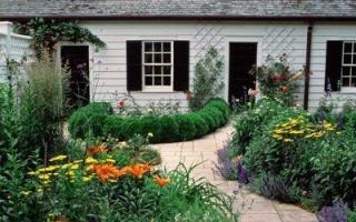 Лекарственные растения в саду Красивые и полезные: цветники из пряных трав